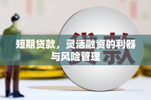 临沧短期贷款，灵活融资的利器与风险管理