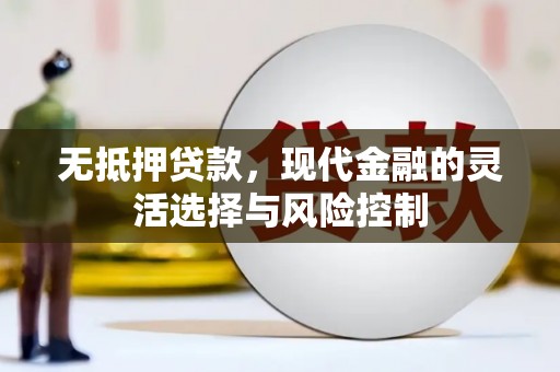 临沧无抵押贷款，现代金融的灵活选择与风险控制