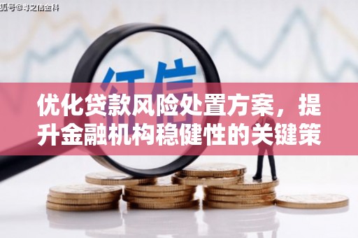 临沧优化贷款风险处置方案，提升金融机构稳健性的关键策略