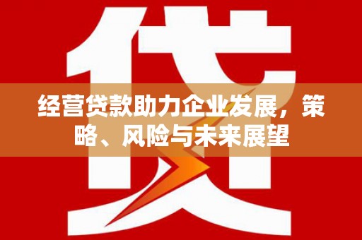 临沧经营贷款助力企业发展，策略、风险与未来展望