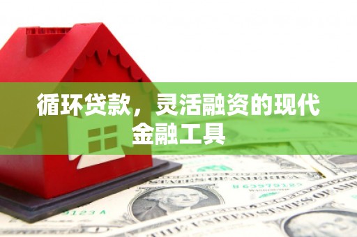 临沧循环贷款，灵活融资的现代金融工具