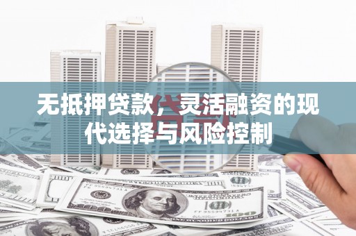 临沧无抵押贷款，灵活融资的现代选择与风险控制