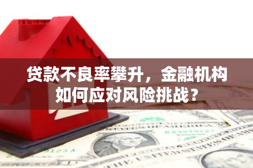 临沧贷款不良率攀升，金融机构如何应对风险挑战？