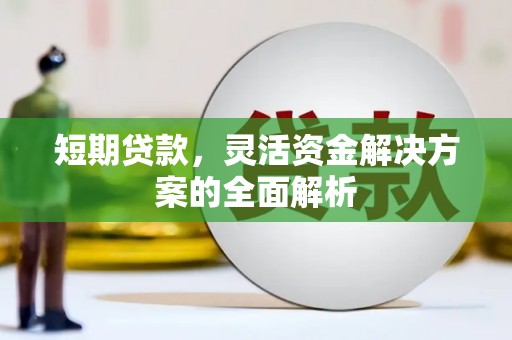 临沧短期贷款，灵活资金解决方案的全面解析