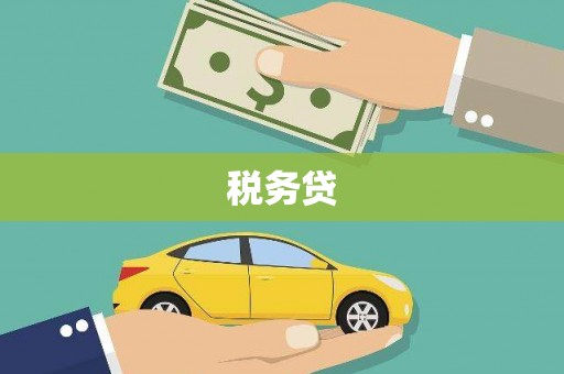 临沧税务贷