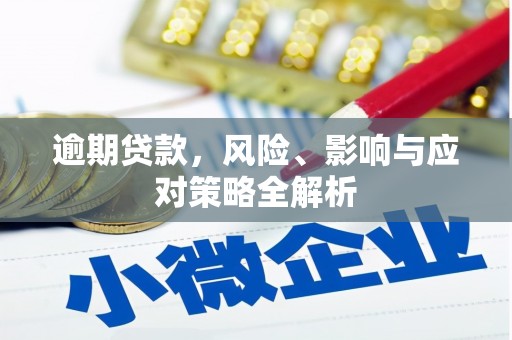临沧逾期贷款，风险、影响与应对策略全解析