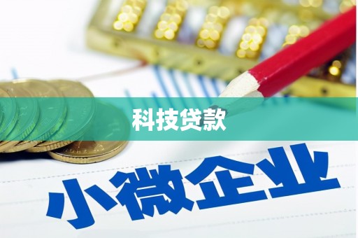 临沧科技贷款