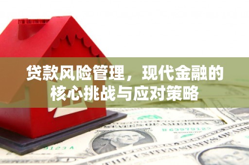 临沧贷款风险管理，现代金融的核心挑战与应对策略