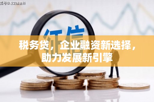 临沧税务贷，企业融资新选择，助力发展新引擎