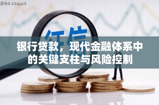 临沧银行贷款，现代金融体系中的关键支柱与风险控制