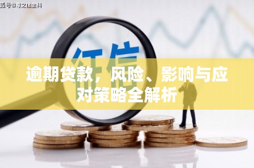 临沧逾期贷款，风险、影响与应对策略全解析