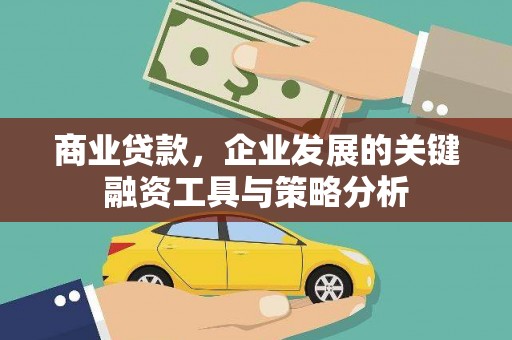 临沧商业贷款，企业发展的关键融资工具与策略分析