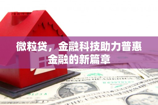 临沧微粒贷，金融科技助力普惠金融的新篇章
