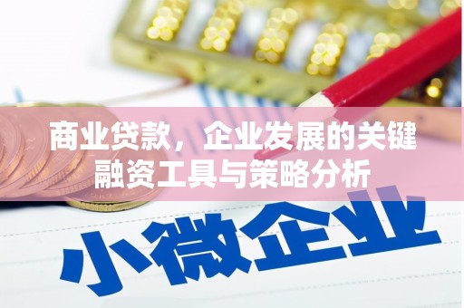临沧商业贷款，企业发展的关键融资工具与策略分析