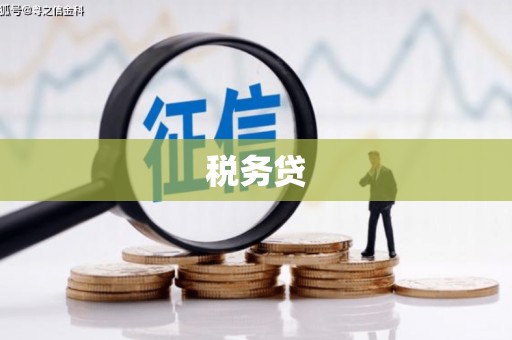 临沧税务贷