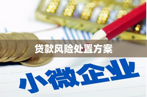 临沧贷款风险处置方案