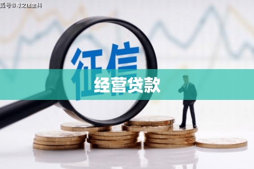 临沧经营贷款