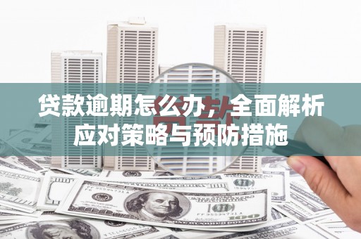 临沧贷款逾期怎么办，全面解析应对策略与预防措施