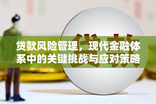 临沧贷款风险管理，现代金融体系中的关键挑战与应对策略