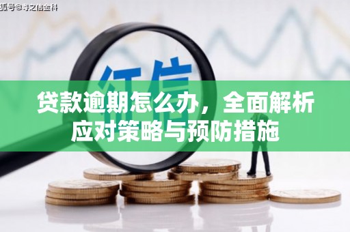 临沧贷款逾期怎么办，全面解析应对策略与预防措施