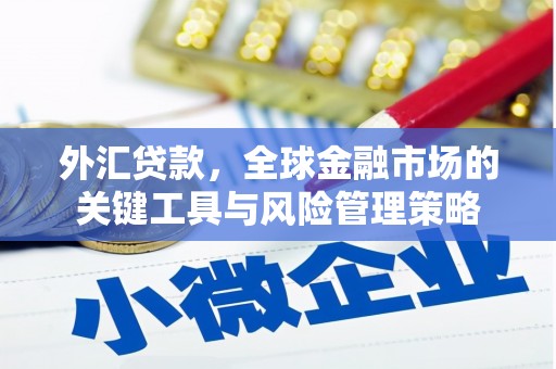 临沧外汇贷款，全球金融市场的关键工具与风险管理策略