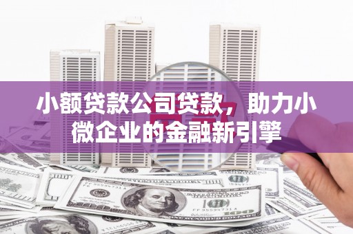 临沧小额贷款公司贷款，助力小微企业的金融新引擎