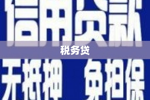 临沧税务贷