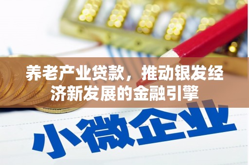 临沧养老产业贷款，推动银发经济新发展的金融引擎