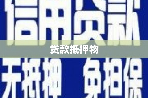 临沧贷款抵押物