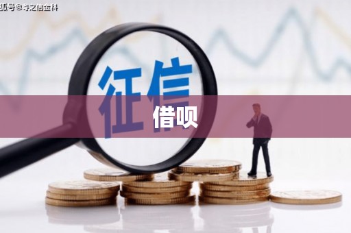 临沧借呗