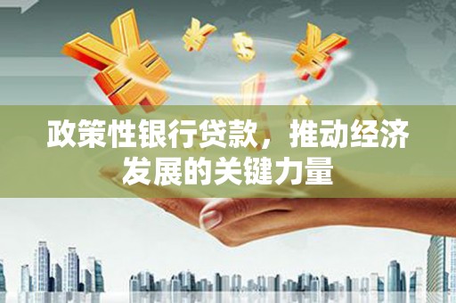临沧政策性银行贷款，推动经济发展的关键力量
