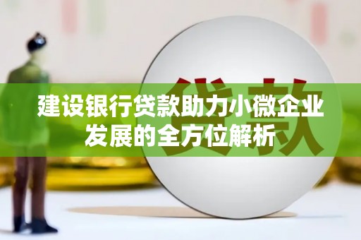 临沧建设银行贷款助力小微企业发展的全方位解析