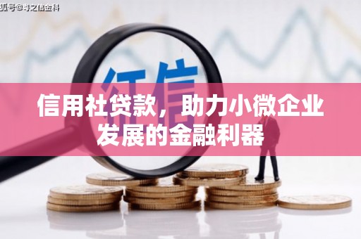临沧信用社贷款，助力小微企业发展的金融利器