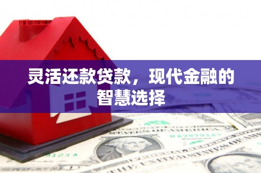 临沧灵活还款贷款，现代金融的智慧选择
