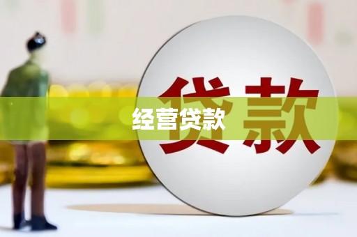 临沧经营贷款