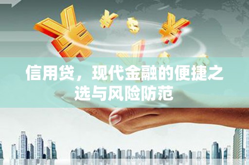 临沧信用贷，现代金融的便捷之选与风险防范