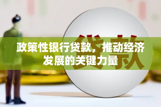 临沧政策性银行贷款，推动经济发展的关键力量