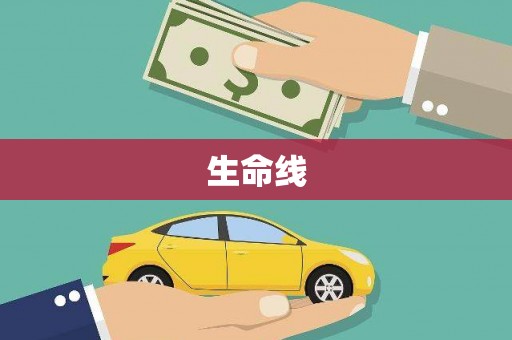 临沧生命线