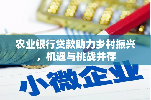 临沧农业银行贷款助力乡村振兴，机遇与挑战并存