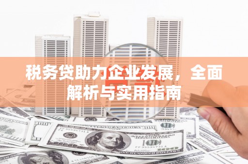 临沧税务贷助力企业发展，全面解析与实用指南