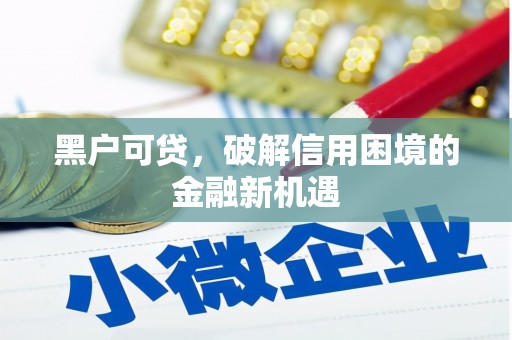 临沧黑户可贷，破解信用困境的金融新机遇