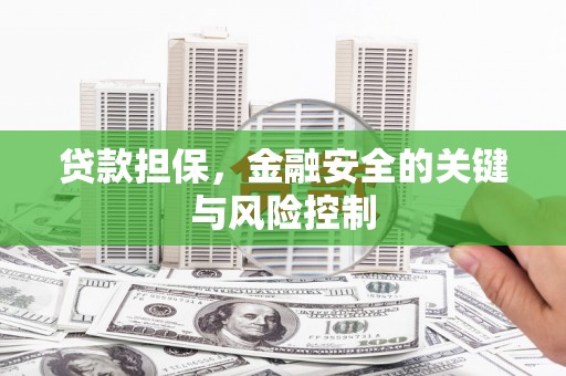 临沧贷款担保，金融安全的关键与风险控制