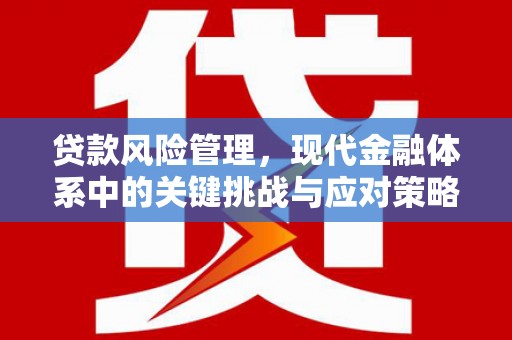临沧贷款风险管理，现代金融体系中的关键挑战与应对策略