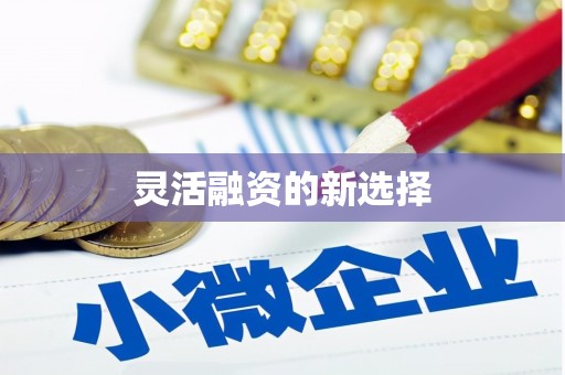 临沧灵活融资的新选择