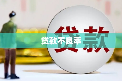 临沧贷款不良率