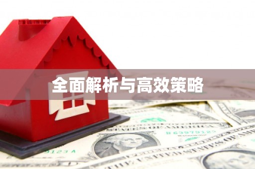 临沧全面解析与高效策略