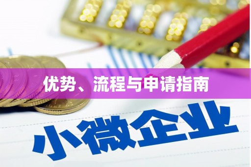 临沧优势、流程与申请指南