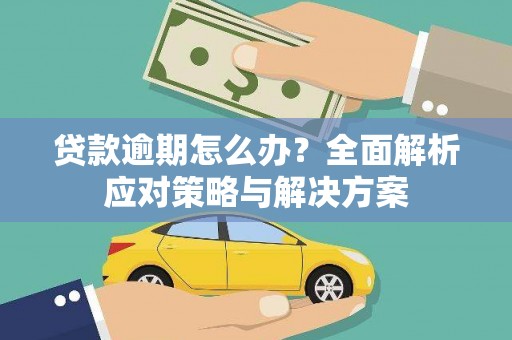 临沧贷款逾期怎么办？全面解析应对策略与解决方案