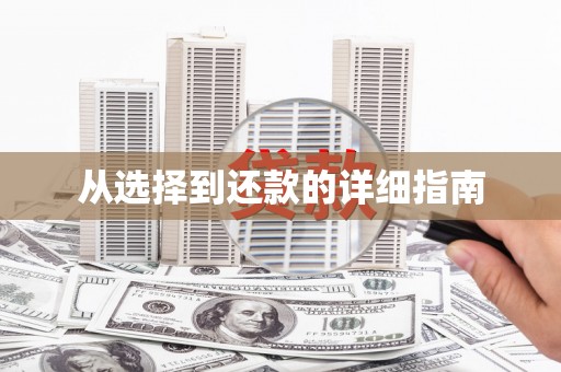 临沧从选择到还款的详细指南