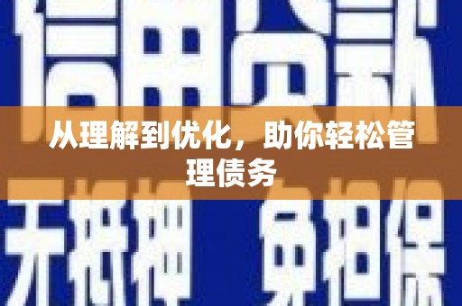 临沧从理解到优化，助你轻松管理债务